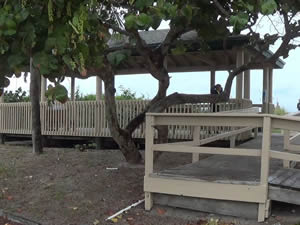 jetty park pavilion fort pierce